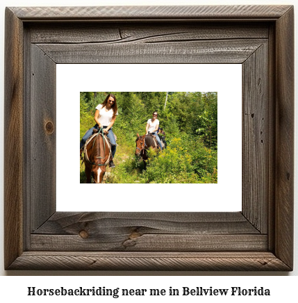 horseback riding near me in Bellview, Florida